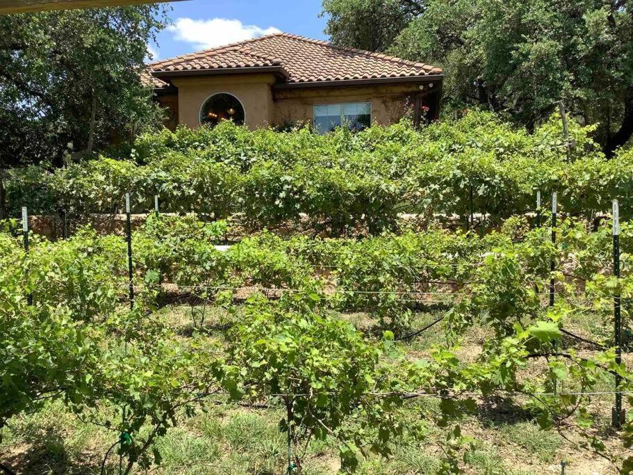 Villa At Cibolo Chase, A Private Resort With Pool Bulverde Εξωτερικό φωτογραφία